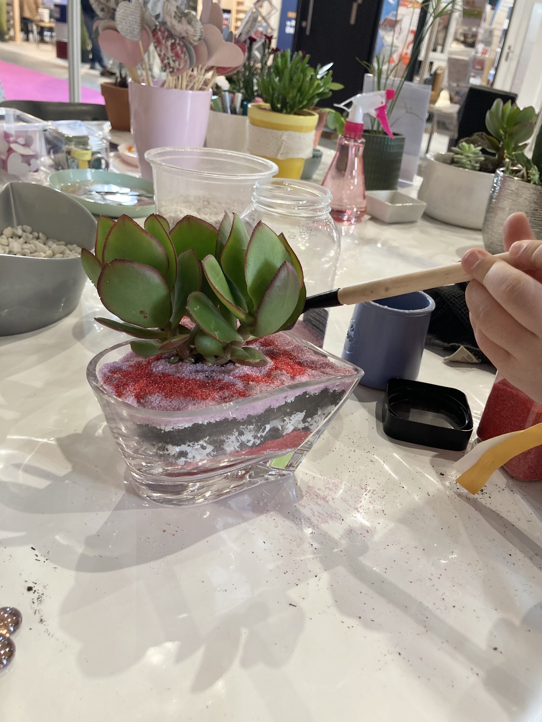 Titre de l'actualité